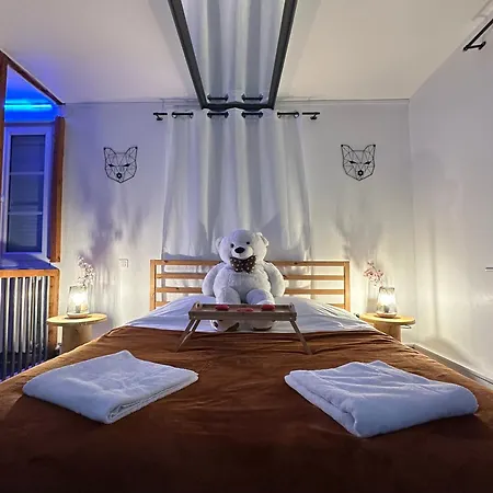 Evasion Jacuzzi Sauna Appartamento Eckbolsheim